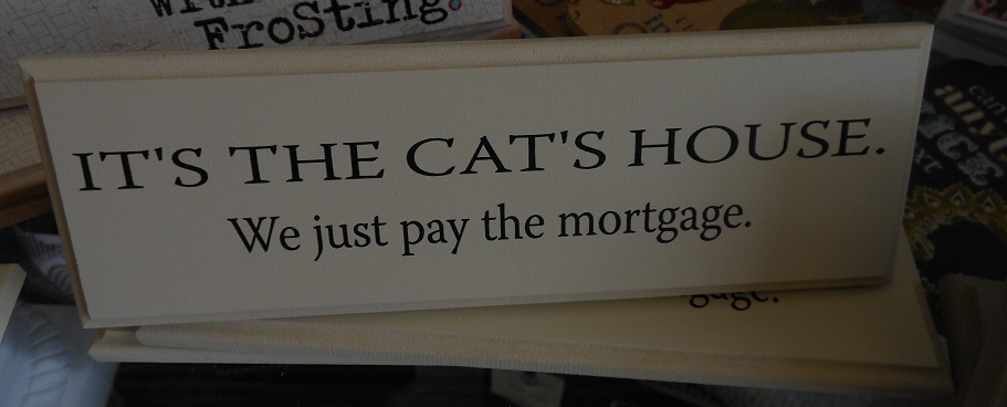 Cat's House-