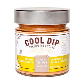 Creamy Tomato Salsa Cool Dip-